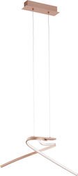 лед полилей розово злато PALOZZA