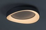 LED плафониера ILIANA/RABALUX
